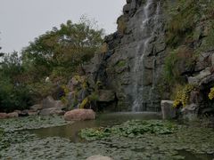 -清明上河园