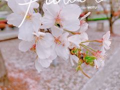 -龙美术馆(西岸馆)
