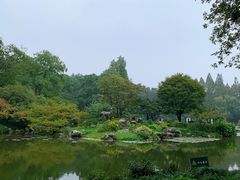 -山外山菜馆(玉泉路店)
