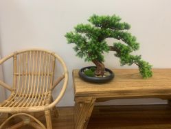 -宝贝家族国际影像馆(高新店)