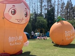 -前小桔亲子创意农场·草莓采摘·露营烧烤