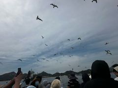 -海驴岛(荣成市)
