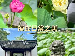 -上海醉白池公园