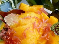 -莉莉海堂HAITANG·烤鸭(国贸商城店)