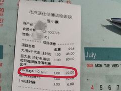 -北京派仕佳德动物医院·超导核磁·CT·神经科·骨科·内外科·急重症管理中心