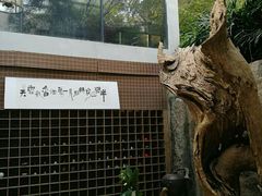 -厦门园林植物园-植物园滴水山房