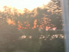 -四明湖