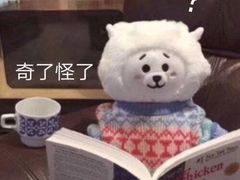 -麦德龙(芝罘店)