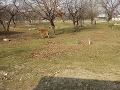 -西安秦岭野生动物园