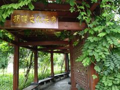 -华东政法大学(松江校区)