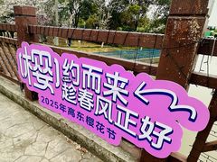 -高东镇樱花园