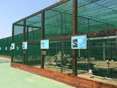 -羊亭河湿地公园