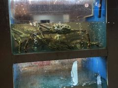 -启东海鲜人家(古美路店)