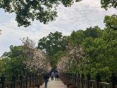 -南山植物园