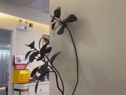 -海涛医疗美容·面部抗衰·注射美鼻