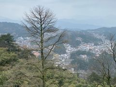 -九华山风景区