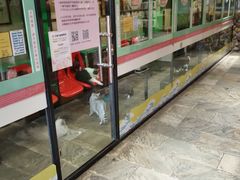 -猫咪博物馆(顶澳仔猫街店)