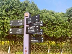 -夏河溪乡野公园
