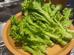 -龍歌自助小火锅(李沧顺和汇店)