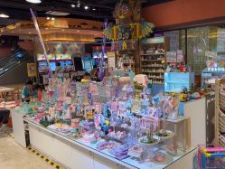 -卡通尼·Safari非洲探索乐园·生日会(金桥国际商业广场店)