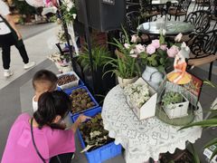 -京北渔家傲