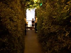 -顶层酒吧ROOF(上海艾迪逊酒店)