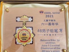 -长春乐奇平衡车儿童体能运动中心