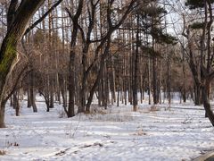 -长春市南湖公园