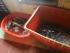 -小六农家乐(崇明西沙湿地店)