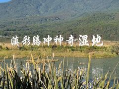 -腾冲北海湿地