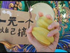 -西双版纳傣族园