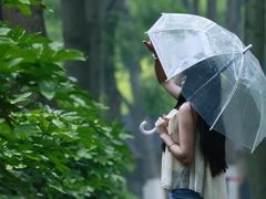 -合肥滨湖国家森林公园