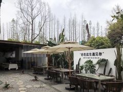 -云里小坐·小院里·团建·宴请·下午茶(三圣乡店)
