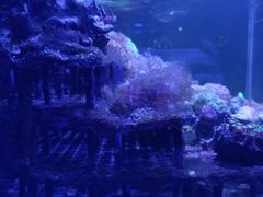 -趣陶陶艺手工坊(新世界百货重庆店)
