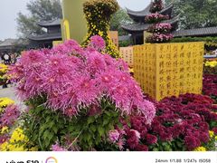 -中国翰园碑林