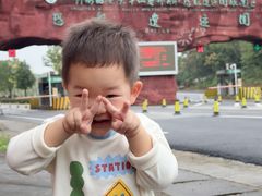 -中国西峡恐龙遗迹园