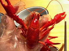 -蚝翅·海鲜粥·烧烤·宁夏滩羊季(玉米楼店)