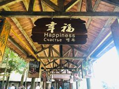 -海南槟榔谷黎苗文化旅游区