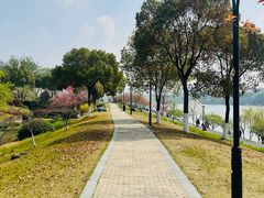 -羊山湖公园