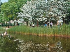 -泰丰公园