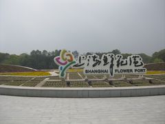 -上海鲜花港