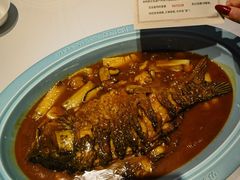 -阿五黄河大鲤鱼(纬三路店)