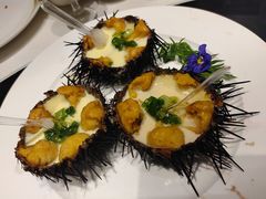 野生海胆蒸蛋-开海·红岛海鲜虾水饺(石老人店)