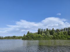 -翠湖国家城市湿地公园