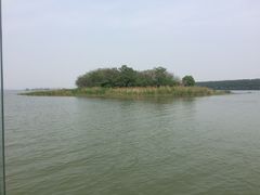 -微山湖红荷湿地景区