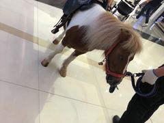 -汇德隆银隆