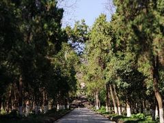 -灵谷景区