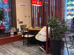 -灶座小锅烀饼·铁锅炖(道里店)