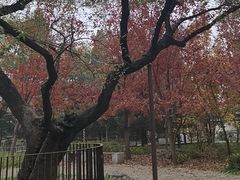 -香山公园-东宫门售票处