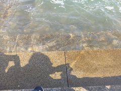 -青岛嘉年华主题乐园